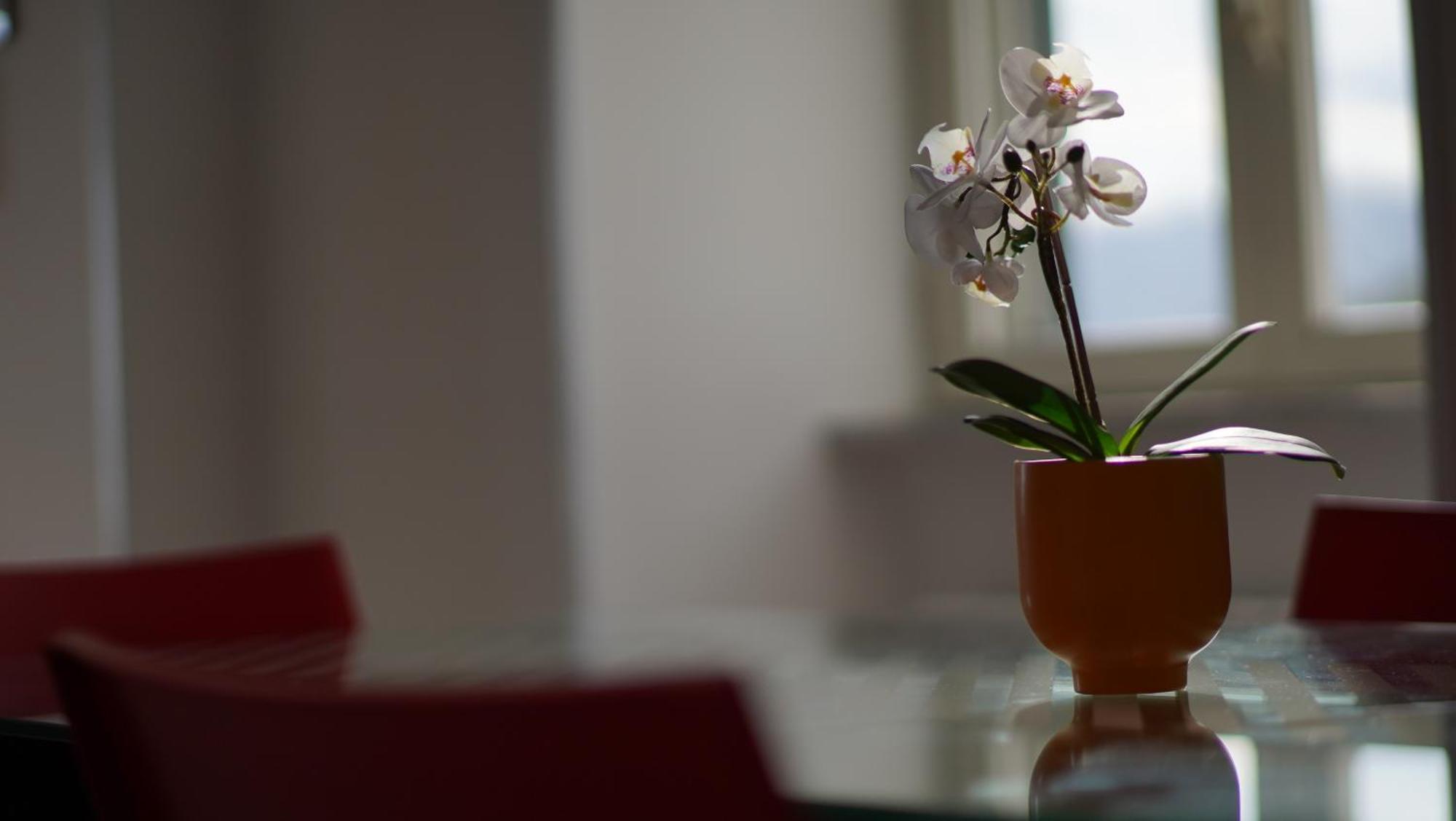 Lunella Full With Unique Seaview, Washing Machine, Full Kitchen, Parking With Video Surveillance, And Shuttle Taxi From To Station, Amalfi Ferries, Airport, Naples Airport Apartment Salerno