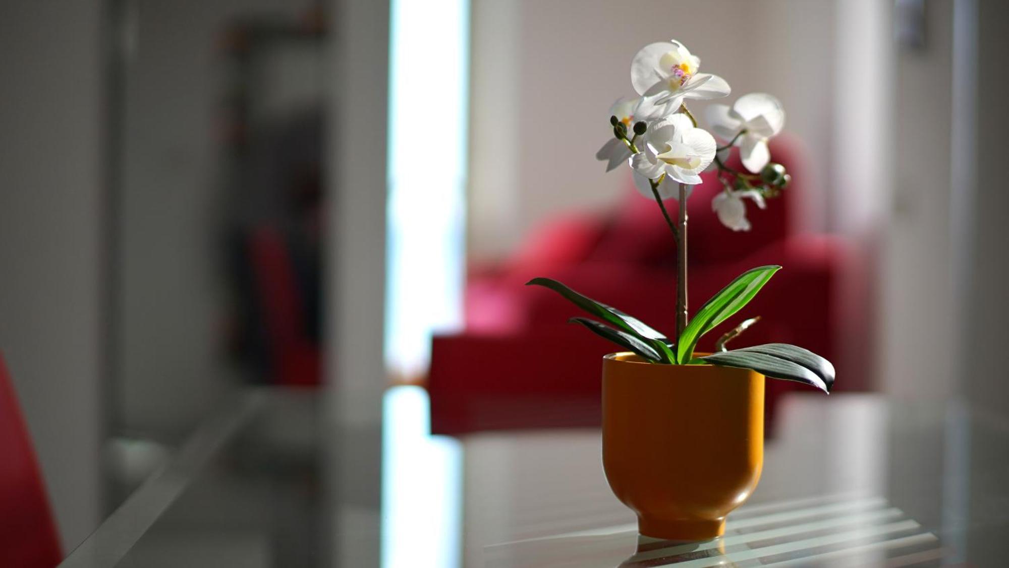 Apartment Lunella Full With Unique Seaview, Washing Machine, Full Kitchen, Parking With Video Surveillance, And Shuttle Taxi From To Station, Amalfi Ferries, Airport, Naples Airport *
